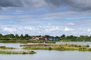 Visit WWT London